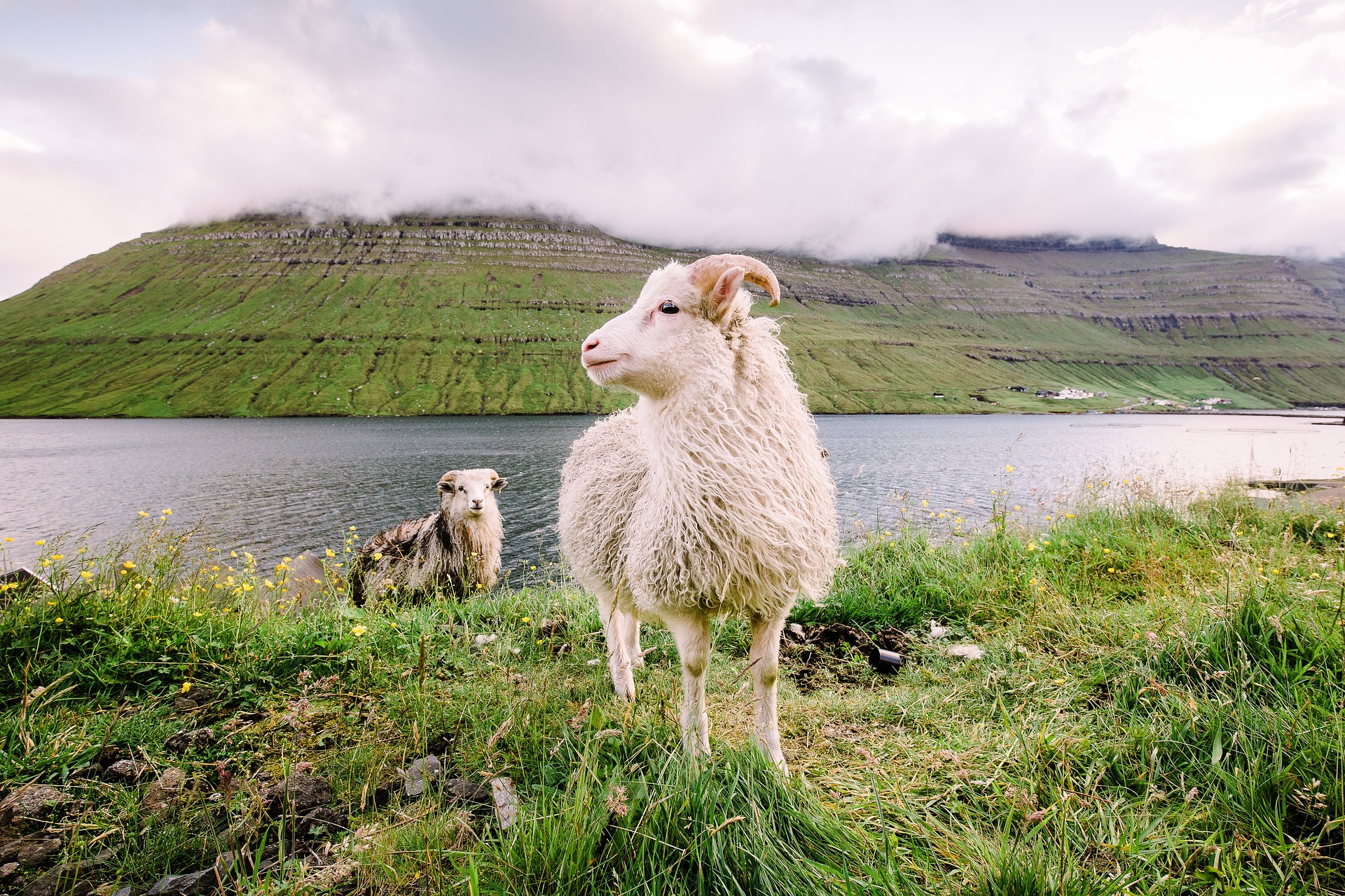 faroe-islands-4067048_1920